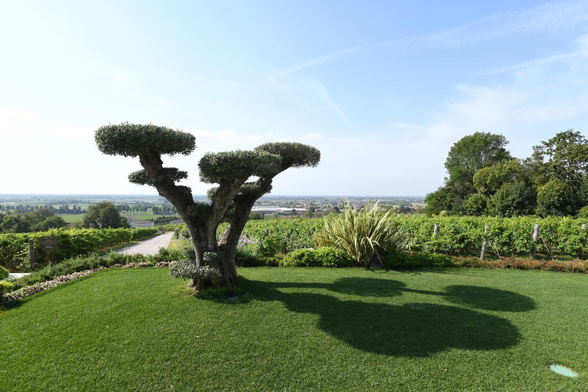Progress Country & Wine House Aparthotel Asolo Ngoại thất bức ảnh